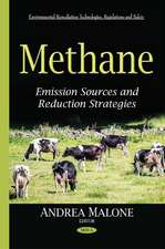 Methane: Emission Sources & Reduction Strategies