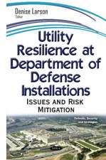 Utility Resilience at Department on Defense Installations: Issues & Risk Mitigation