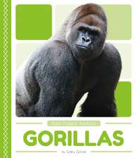 Gorillas