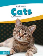 Cats