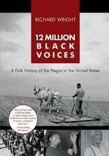 12 Million Black Voices