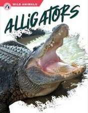 Alligators