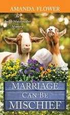 Marriage Can Be Mischief: An Amish Matchmaker Mystery