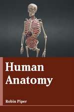 Human Anatomy