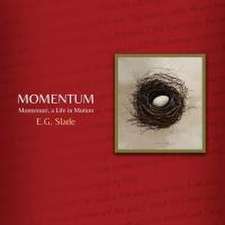 Momentum