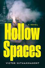 Hollow Spaces: A Novel