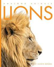 Lions