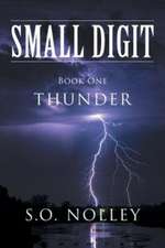 Small Digit Book One