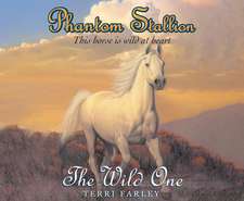 Phantom Stallion, Volume 1: The Wild One