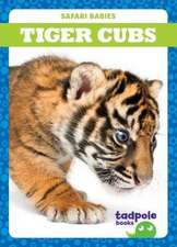 Tiger Cubs