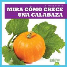 Mira Cómo Crece Una Calabaza (Watch a Pumpkin Grow)