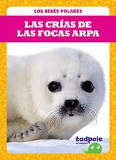 Las Crías de Las Focas Arpa (Harp Seal Pups)