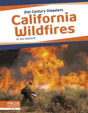 California Wildfires