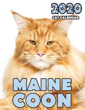 Maine Coon 2020 Cat Calendar