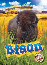 Duling, K: Bison