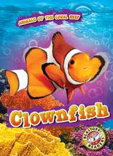 Clownfish