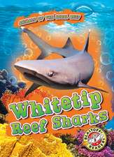 Whitetip Reef Sharks