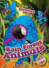 Rain Forest Animals