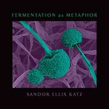 Fermentation as Metaphor