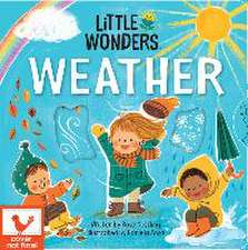 Little Wonders Weather