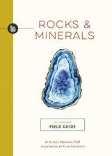 Rocks and Minerals: An Illustrated Field Guide