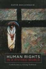 Hollenbach, D: Human Rights in a Divided World