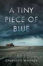 A Tiny Piece of Blue: A Novel