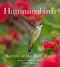 Hummingbirds