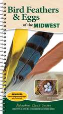 Bird Feathers & Eggs of the Midwest