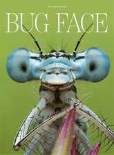 Bug Face