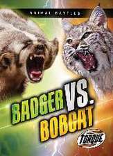 Badger vs. Bobcat