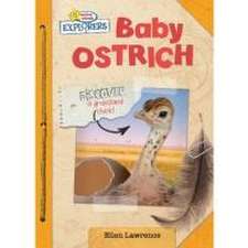 Baby Ostrich