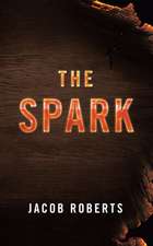 The Spark