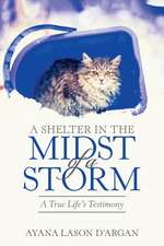 A Shelter in the Midst of a Storm