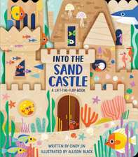 Into the Sand Castle: A Lift-The-Flap Book