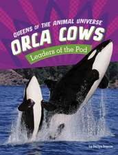 Orca Cows