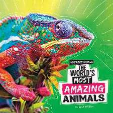 The World's Most Amazing Animals