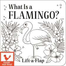 What Is a Flamingo?