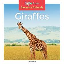 Giraffes