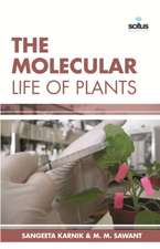 The Molecular Life of Plants