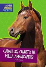 Caballos Cuarto de Milla Americanos