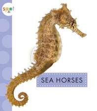 Sea Horses