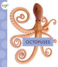 Octopuses