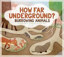 How Far Underground?