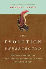 The Evolution Underground