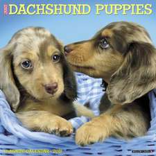 Just Dachshund Puppies 2018 Wall Calendar (Dog Breed Calenda