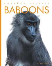 Baboons