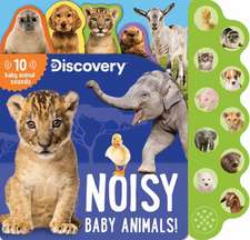 DISCOVERY NOISY BABY ANIMALS-S