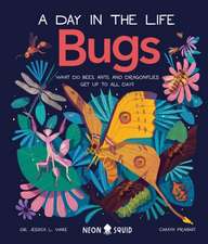 Bugs (a Day in the Life)