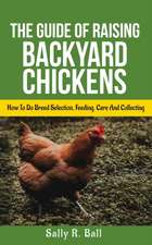 The Guide Of Raising Backyard Chickens